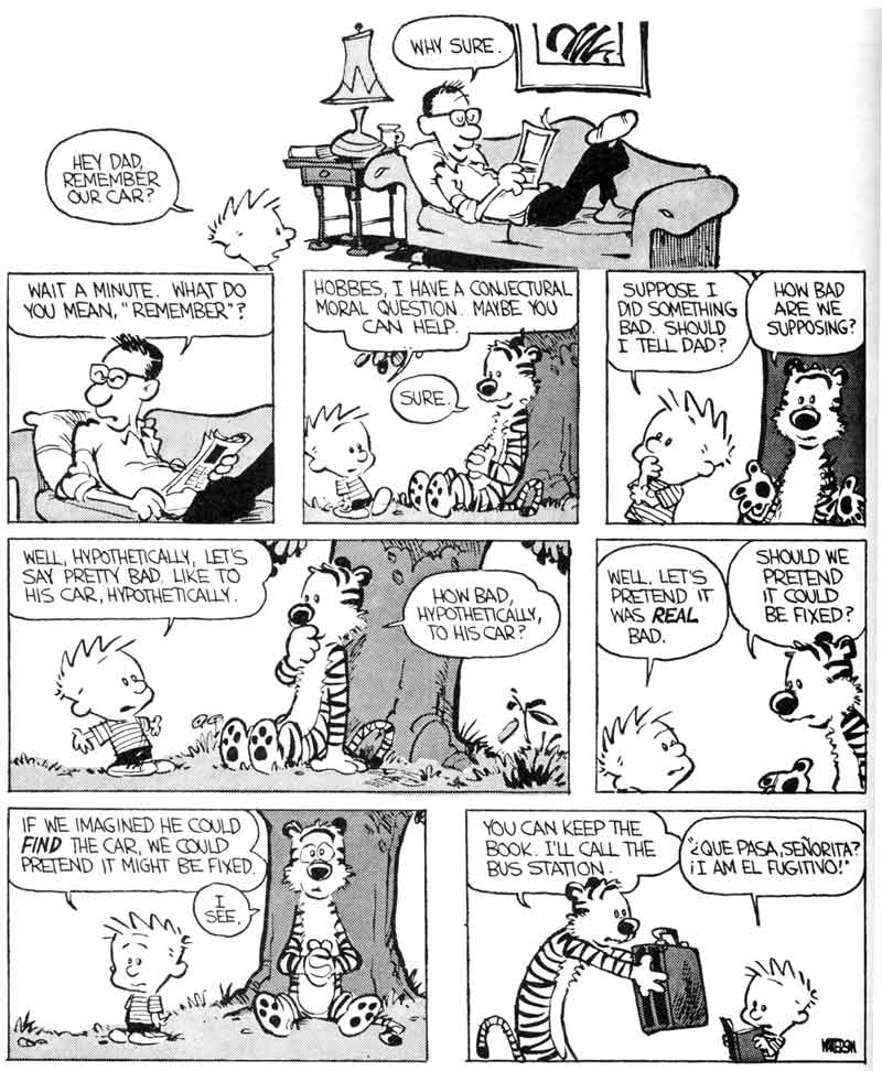 Calvin and Hobbes, Calvin and Hobbes, page 72
